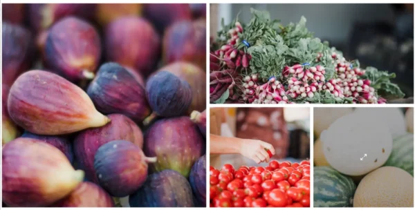 Los pasos para optimizar la estructura de tu página web